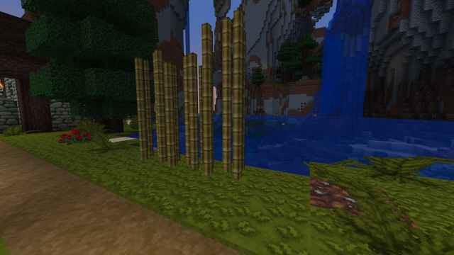 Tallos marrones de caña de azúcar cerca de una cascada. 