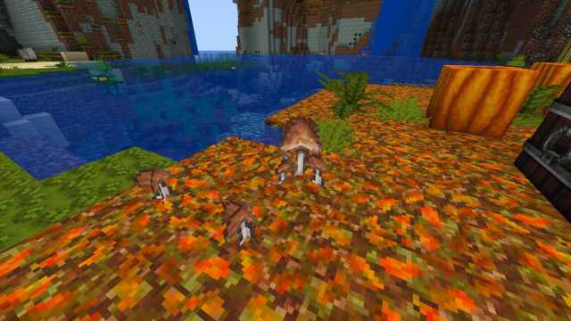 Cuatro hongos marrones que brotan de un montón de hojas cerca del agua. 