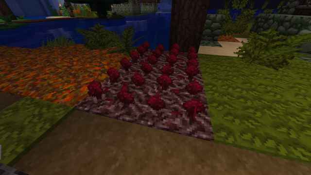 Abajo de color rojo intenso junto a la hierba y la tierra.