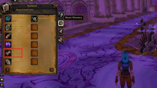 Libro de hechizos del cazador clásico de WoW