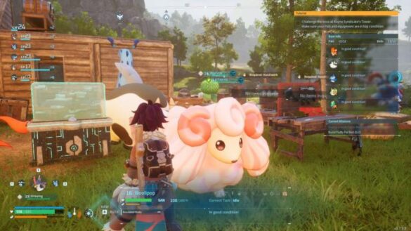 A Woolipop at the player