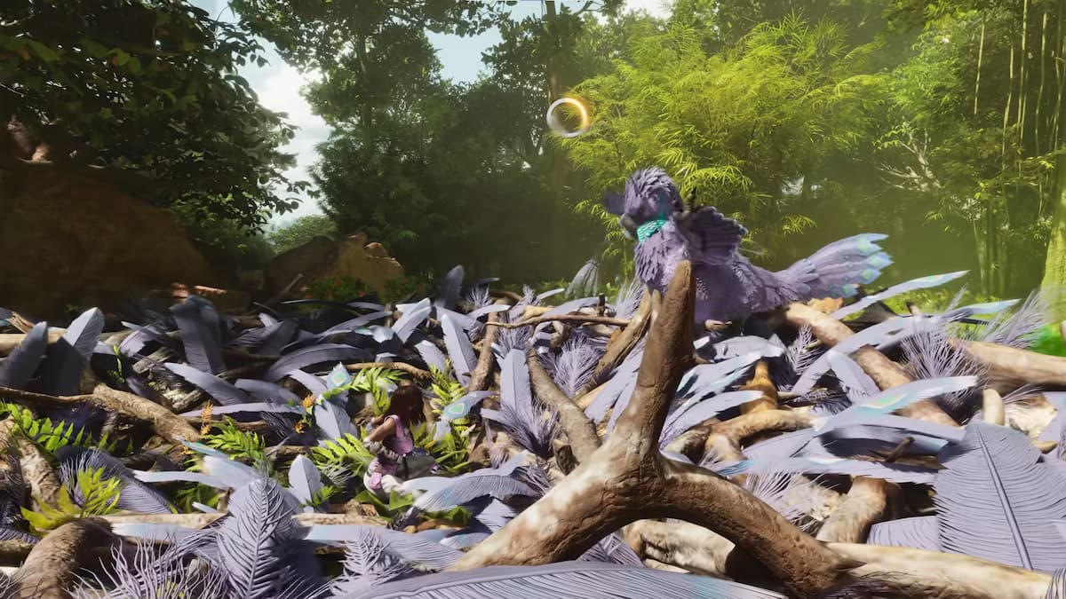 Bebé Gigantoraptor en el nido durante el minijuego de domesticación. 