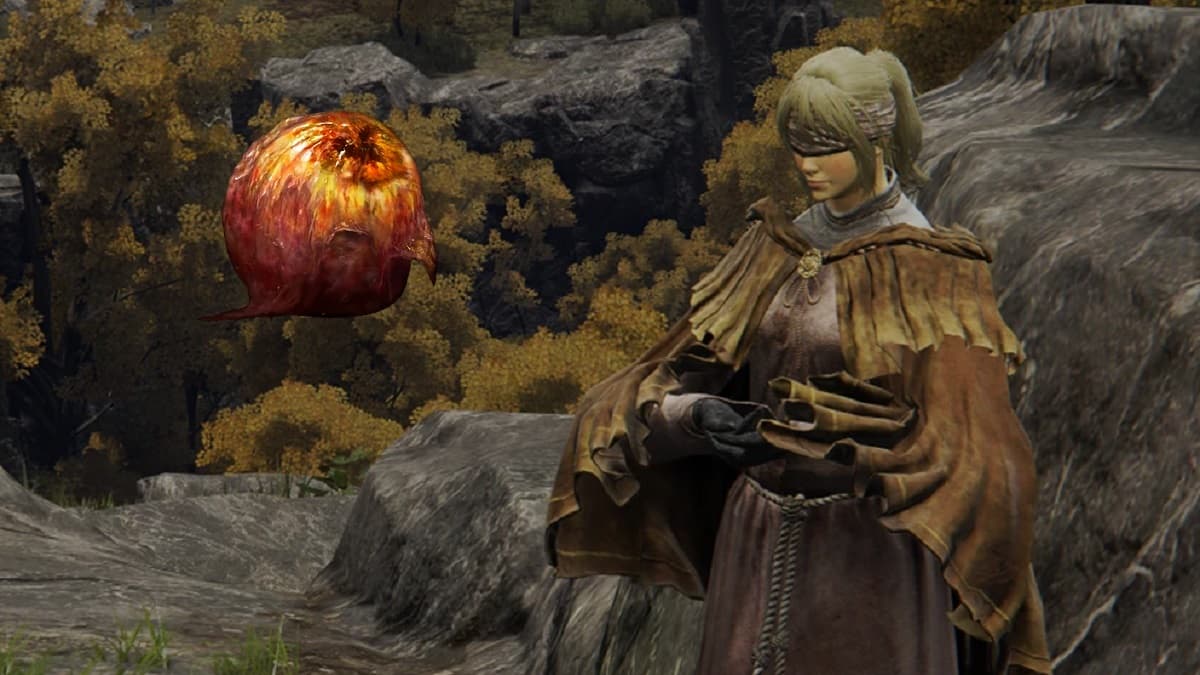 Hyetta junto a una imagen de una uva Shabriri