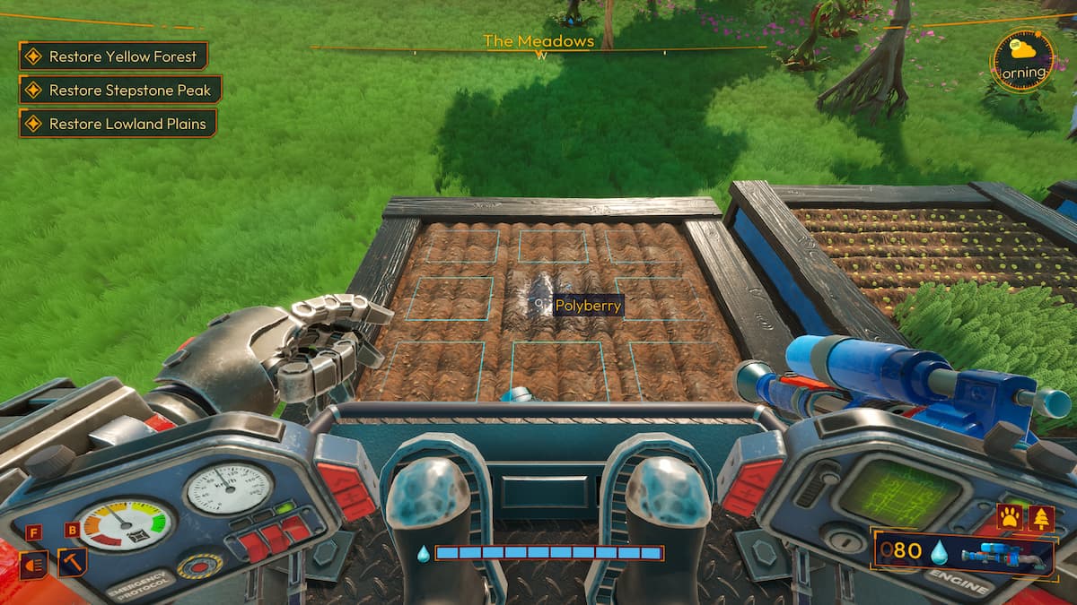 Plantar Polyberry en Lightyear Frontier
