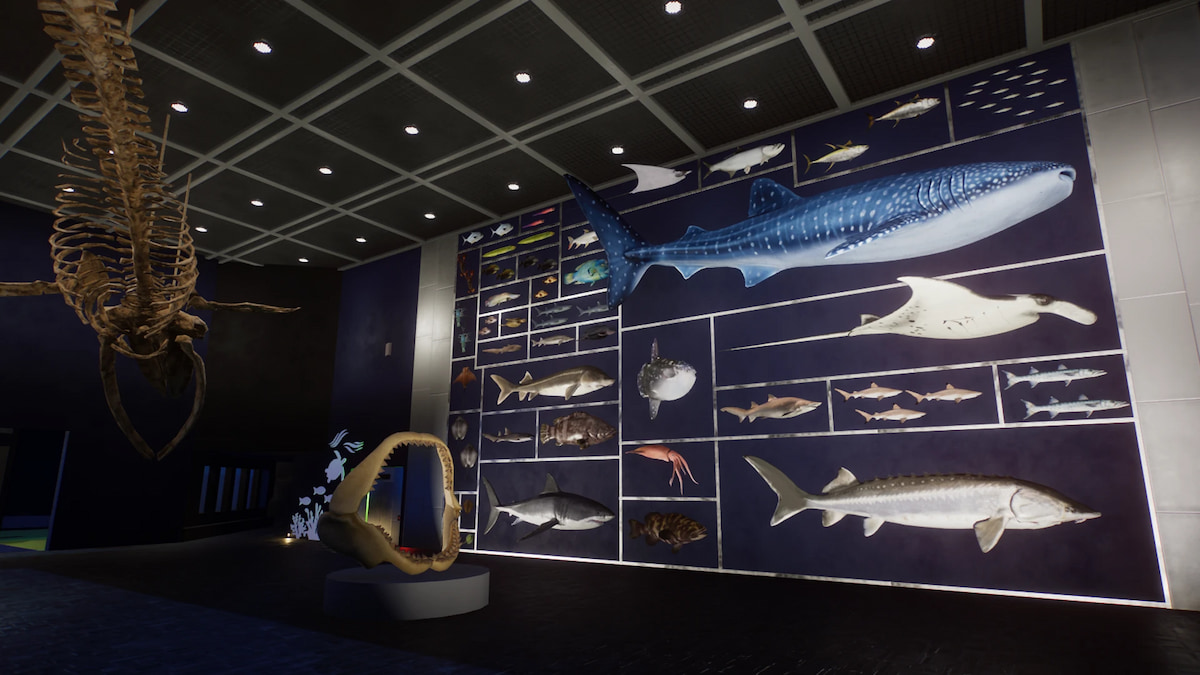 Una gama de accesorios para peces en una pared del Planet Zoo Aquaria Pack.