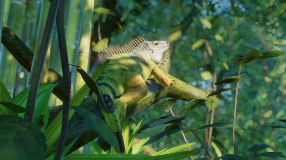 Las 10 mejores modificaciones de Planet Zoo y cómo instalarlas 

