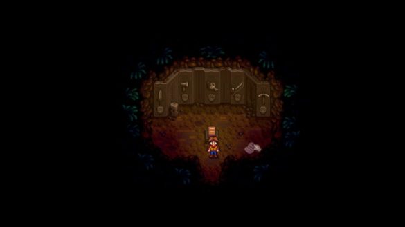 Inside the secret Mastery room with five carvings on the wall for rewards