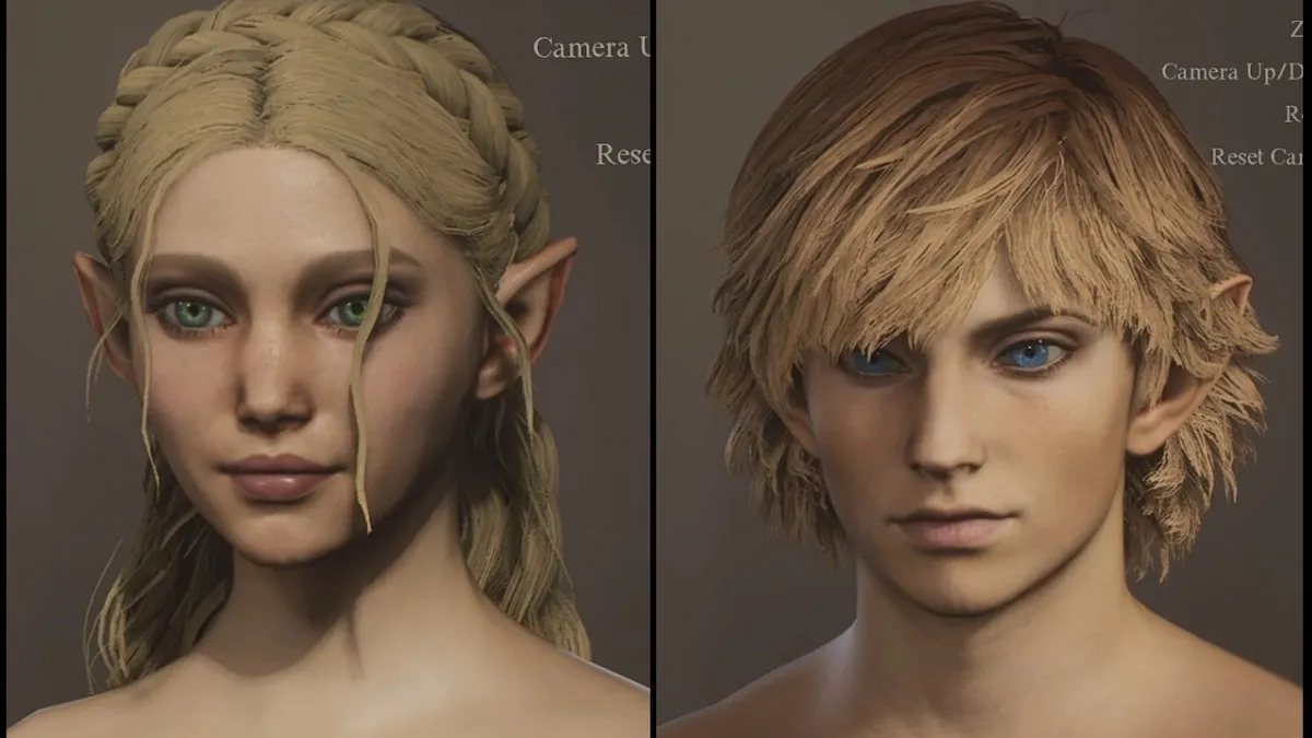 Versiones realistas de Zelda y Link.  Zelda a la izquierda y Link a la derecha.  Zelda tiene el cabello rubio sucio trenzado con un mechón cayendo frente a su cara.  Grandes ojos verdes soñadores.  Link tiene cabello rubio sucio que cae hacia su cara y se extiende detrás de él sobre sus orejas puntiagudas, y ojos azules más entrecerrados.
