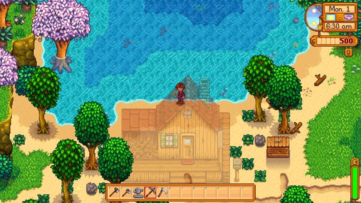 Granja de playa Stardew