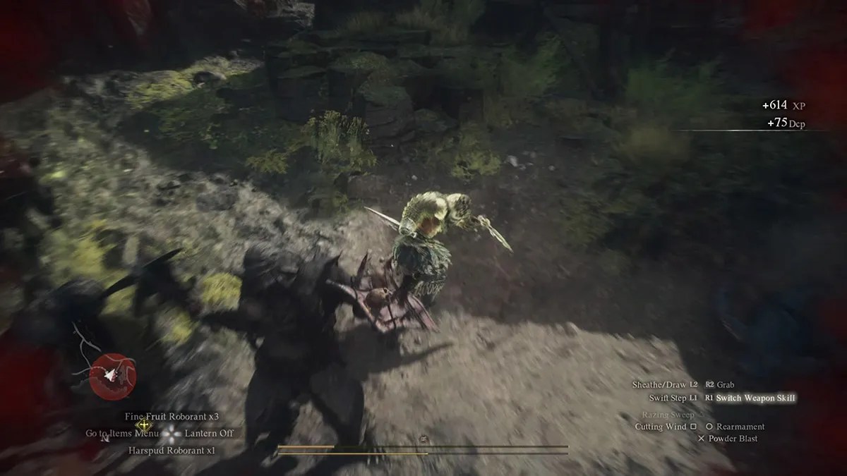 ladrón luchando contra duendes