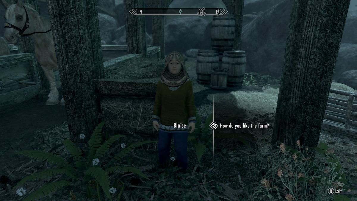 Todos los niños adoptables en Skyrim 12 Blaise con una capucha afuera de Solitude en Katla's Farm