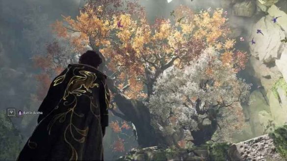 Golden Snidgets tree