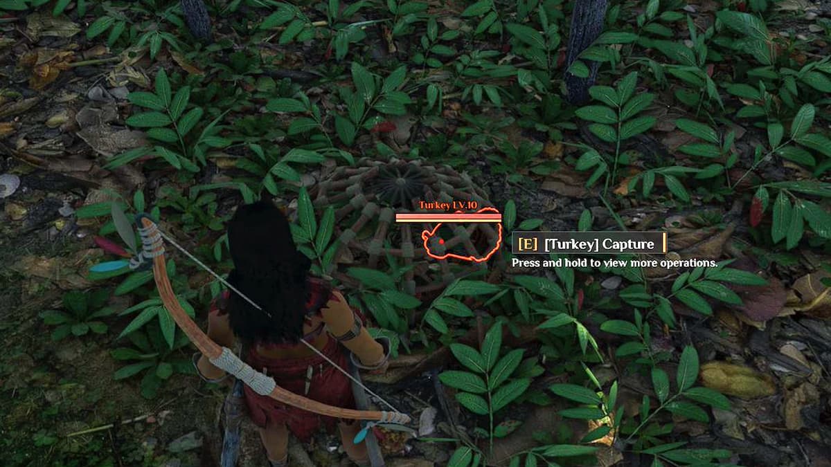 Capturando un pavo de una pequeña trampa en Soulmask