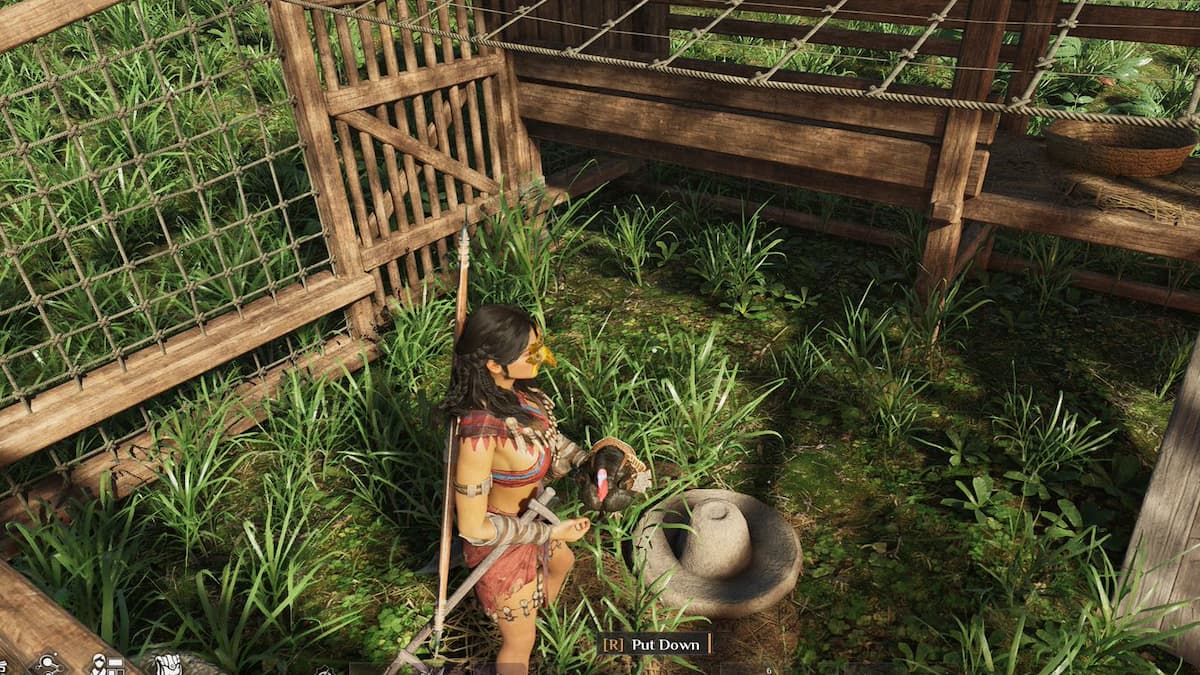 Colocar un pavo en Turkey Coop en Soulmask