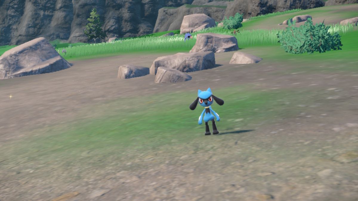 Riolu aparece en Wistful Fields de Kitakami en Pokémon Scarlet & Violet: Teal Mask DLC