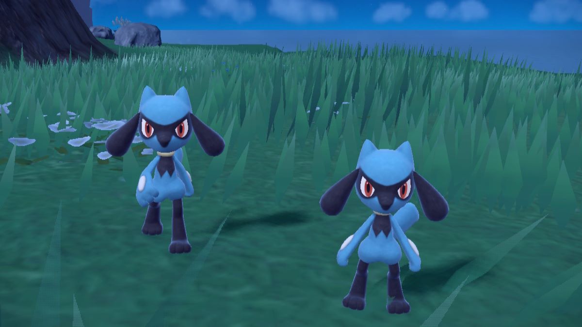 Riolu aparece en brotes masivos en Pokémon Escarlata y Violeta