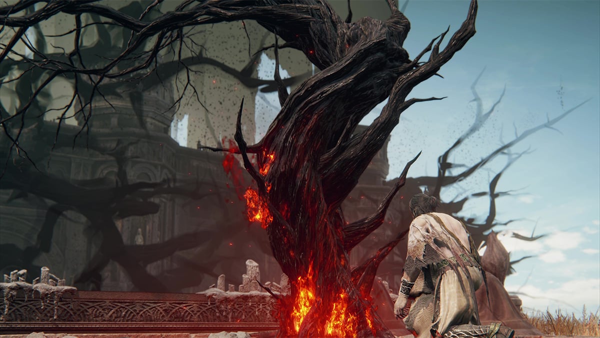 Quemando el árbol de focas en Elden Ring Shadow of the Erdtree