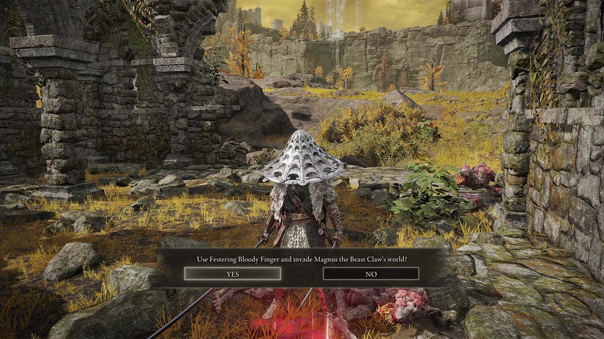 Invadiendo Magnus la Garra de la Bestia en Elden Ring