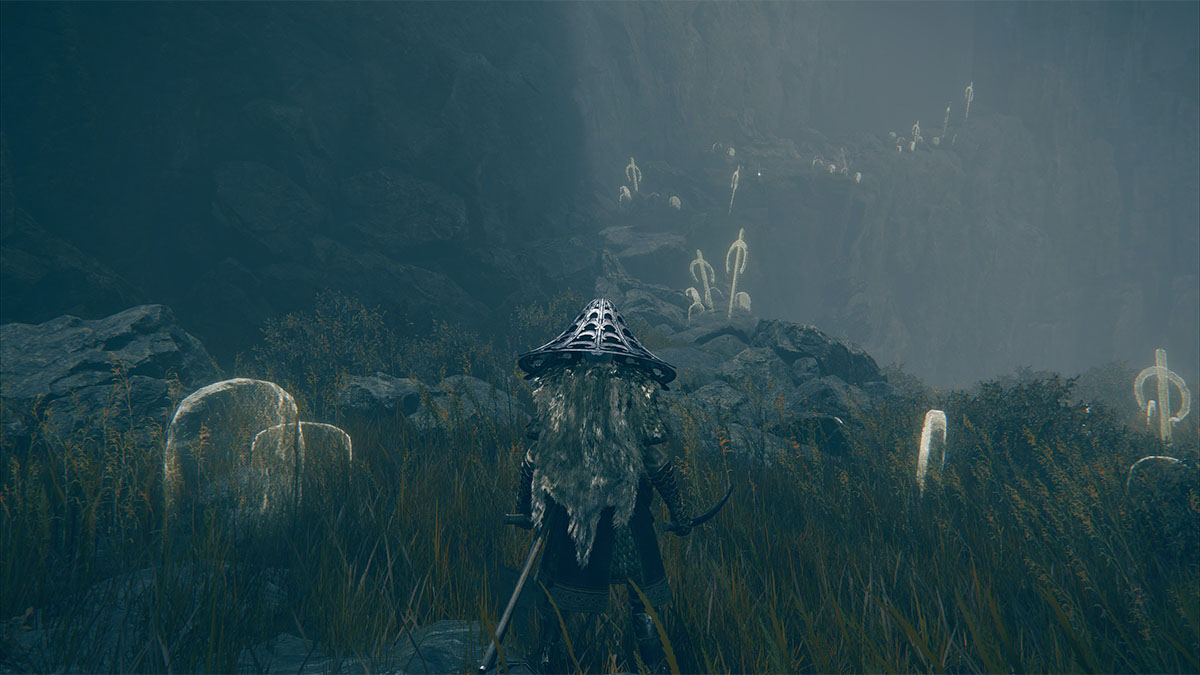 Camino a la meseta occidental de Gravesite Plain en Elden Ring Shadow of the Erdtre