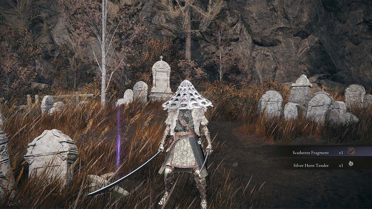 Fragmento de Scadutree fantasma de la llanura de la tumba oriental en Elden Ring Sombra del Erdtree