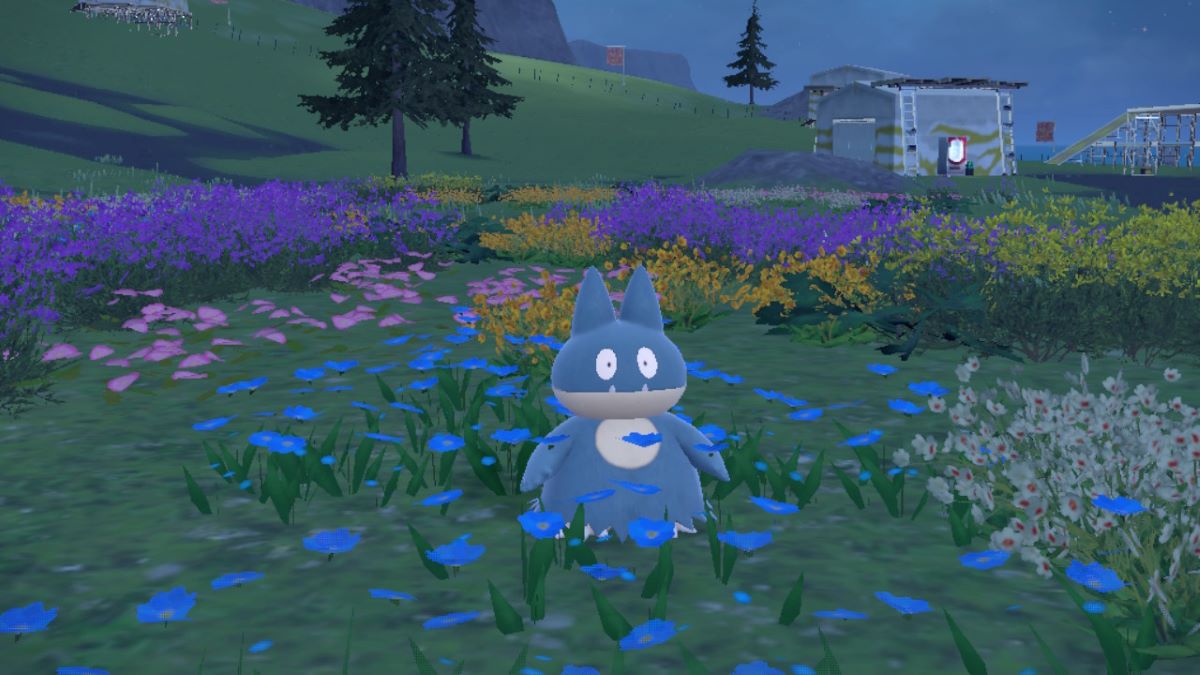 Munchlax en un campo de flores en Pokémon Scarlet & Violet