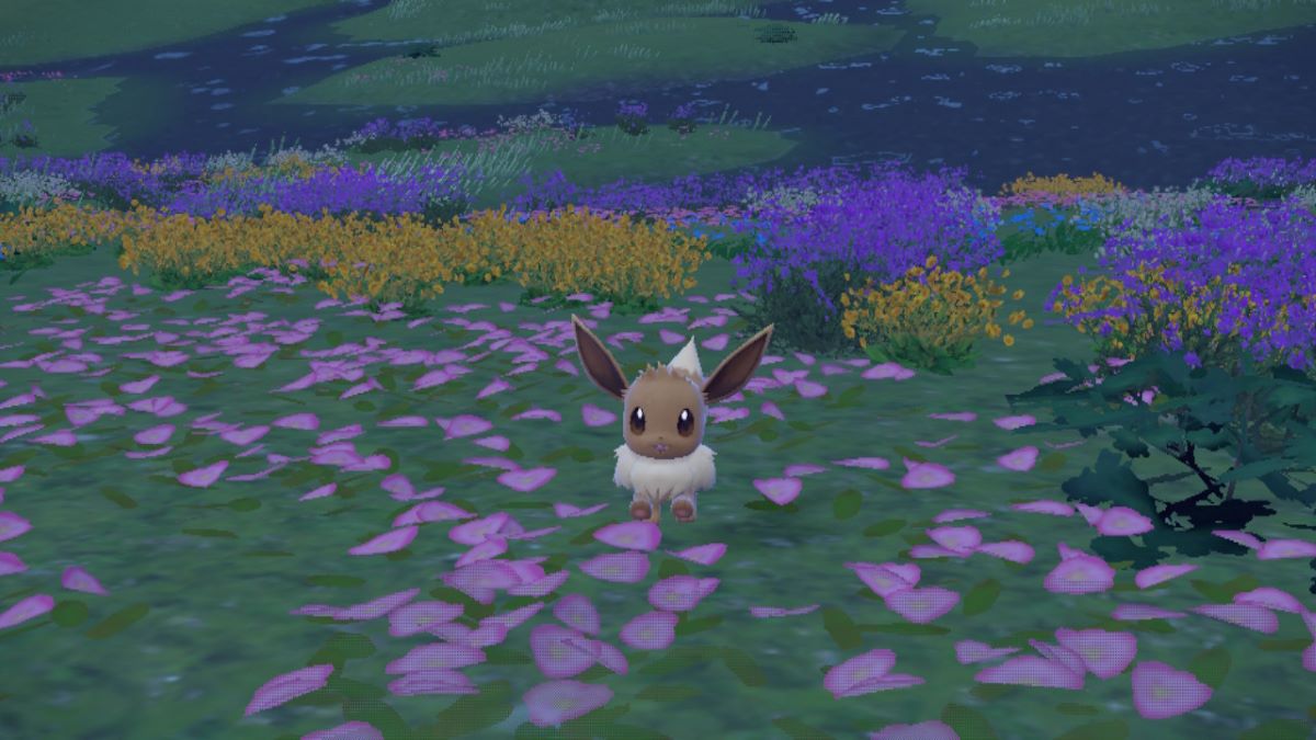 Eevee juega en un campo de flores en Pokémon Scarlet & Violet