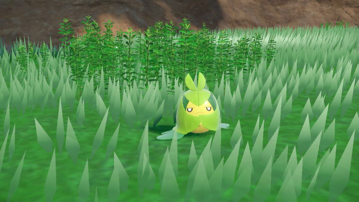 Primer plano de Swadloon en Pokémon Escarlata y Violeta