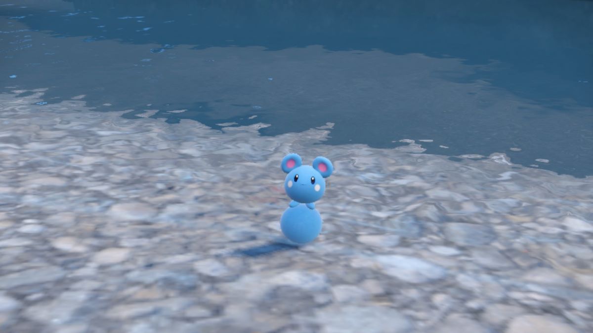 Azurill junto al agua en Pokémon Escarlata y Violeta