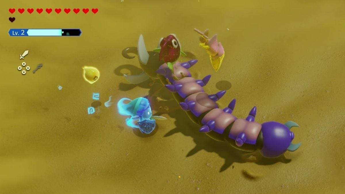 Lanmola púrpura Ecos de sabiduría