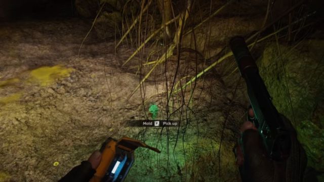 Stalker 2: ¿Deberías ayudar o matar a Squint? 11