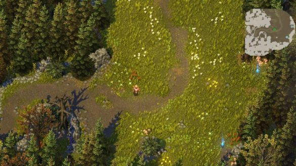 Cómo habilitar el minimapa en Heroes of Hammerwatch 2
