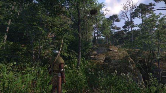 Qué hacer con los nidos en el reino venga la liberación 2
