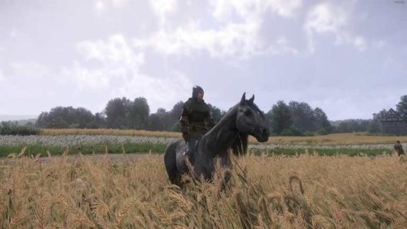 Cómo conseguir tu primer caballo en el reino, venga 2
