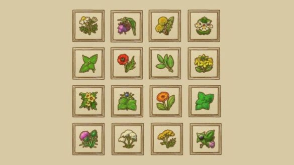 Kingdom Come Deliverance 2 - Todas las hierbas y dónde encontrarlas
