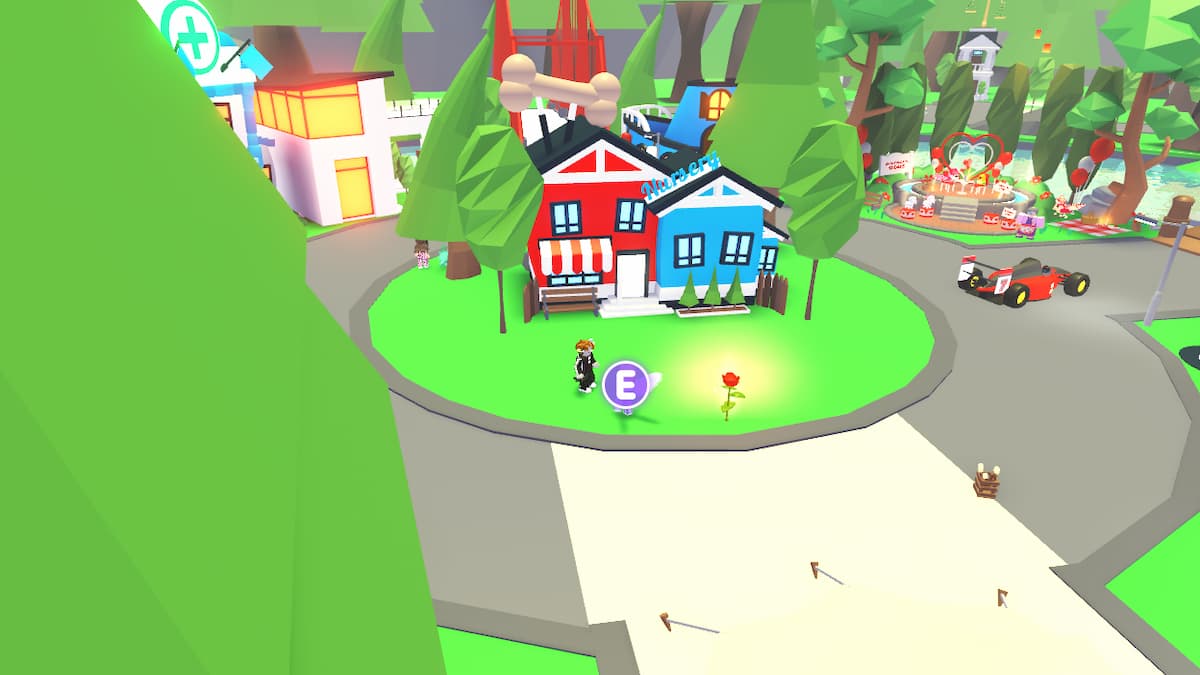 Un trandafir în Adoptă-mă