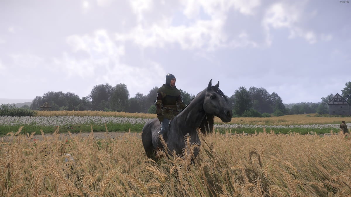 Henry y guijarros el caballo