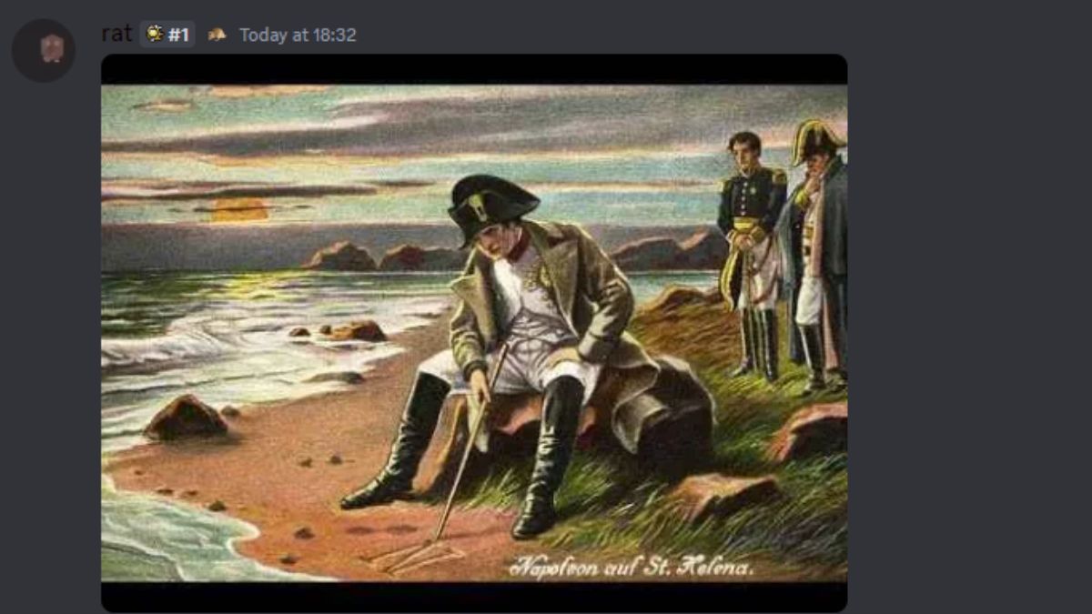 ब्लॉक्स फ्रूट्स रिक्रिएशन डिस्कॉर्ड सेवर में नेपोलियन का मेम