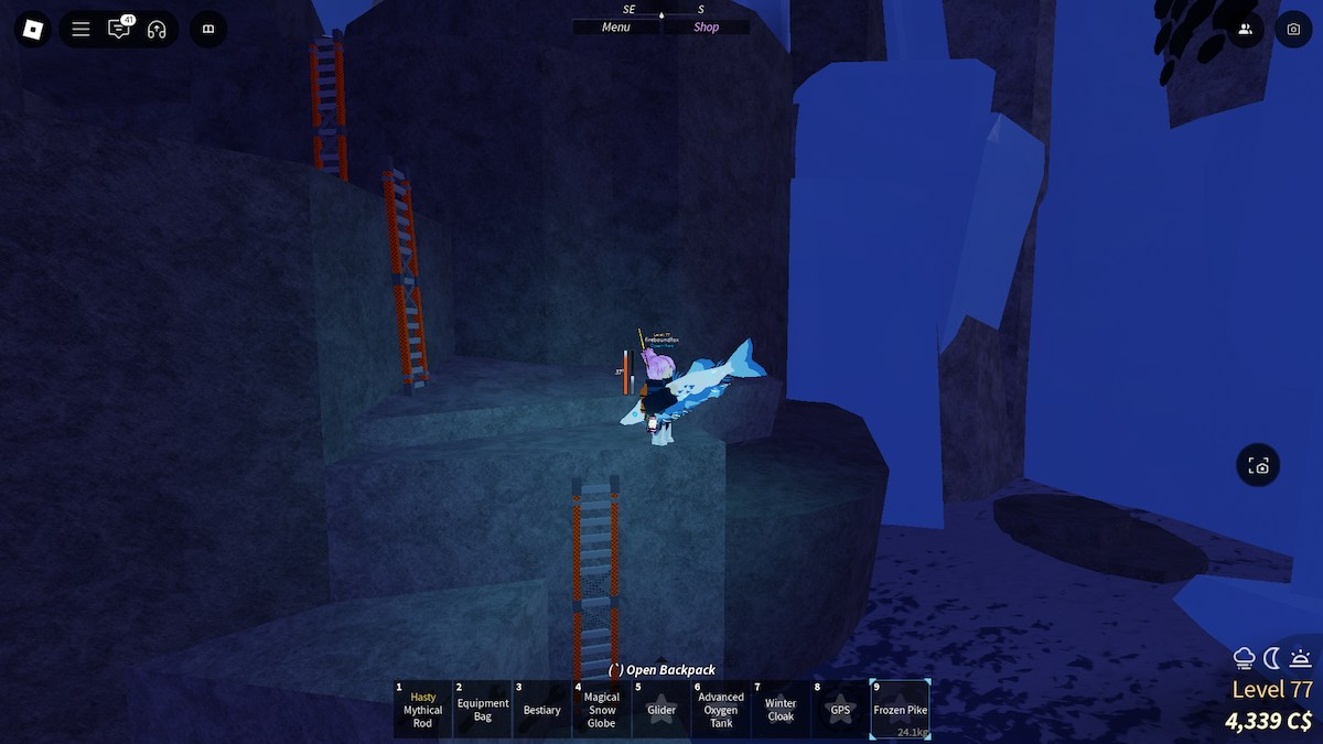 フィッシュの冷凍パイク。