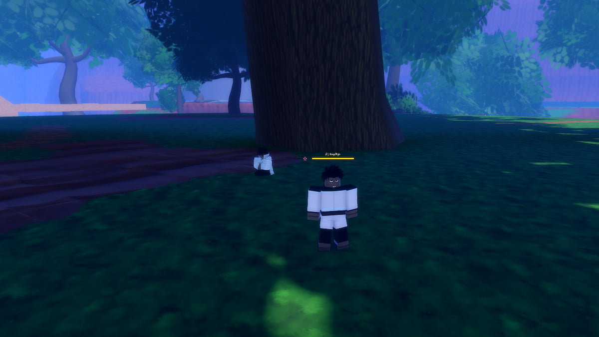 En NPC in Time Ninja