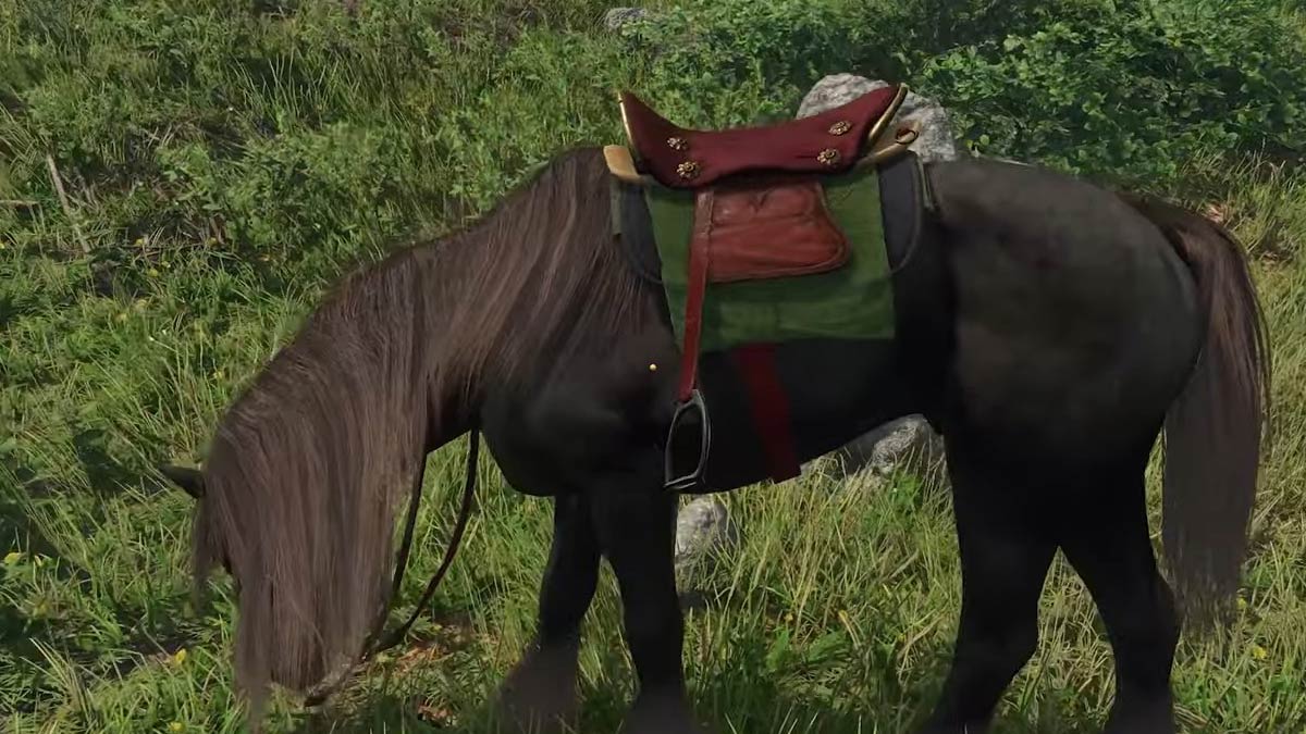 Bronka en Kingdom Come Deliverance 2