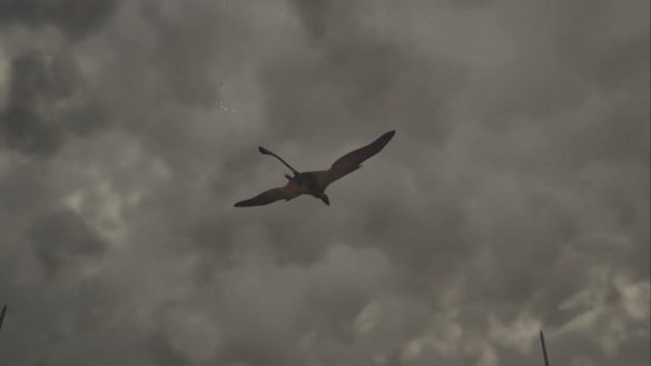 Cómo hacer que Wingdrake se escondiera en Monster Hunter Wilds
