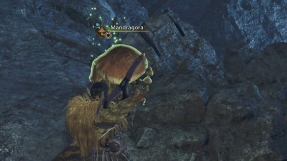 Dónde encontrar Mandragoras en Monster Hunter Wilds
