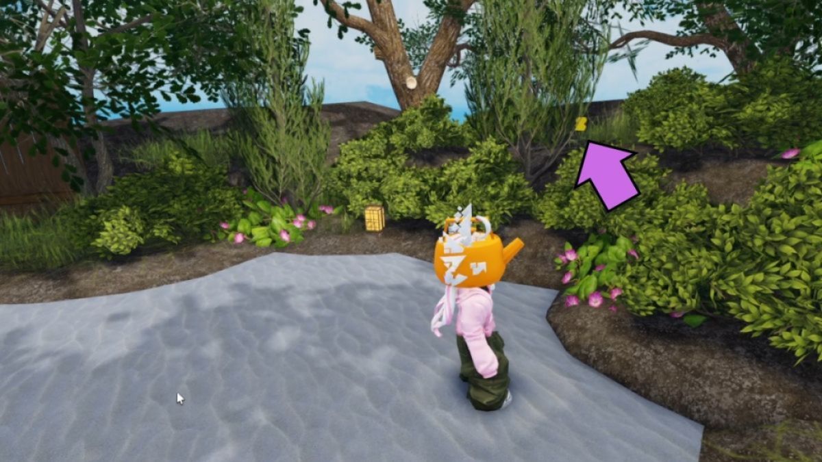 Klip det gyldne kamera på den femte placering på den femte mega token-placering