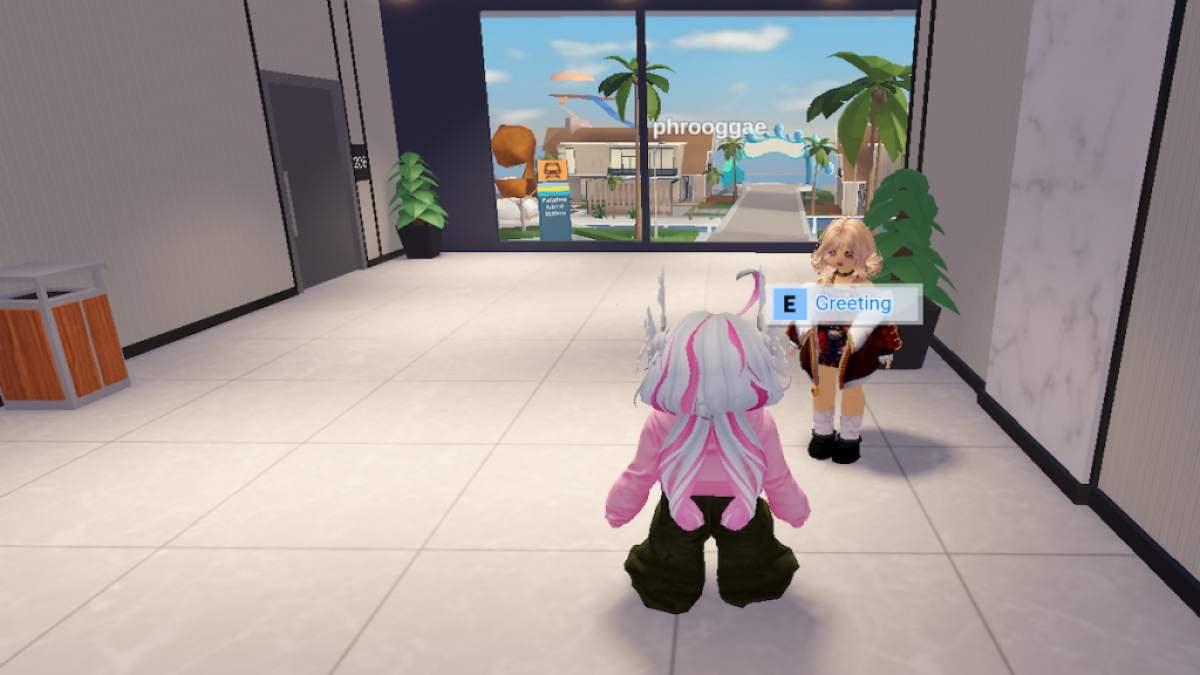 En NPC i Metro City RP