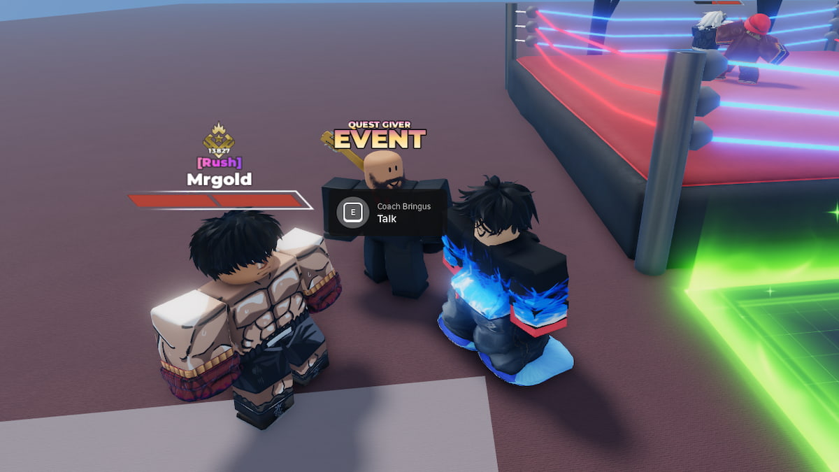 Trainer Bringus auf der Jagd