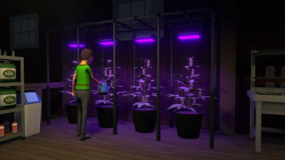 Programa 1 Guardar la ubicación del archivo en la PC
