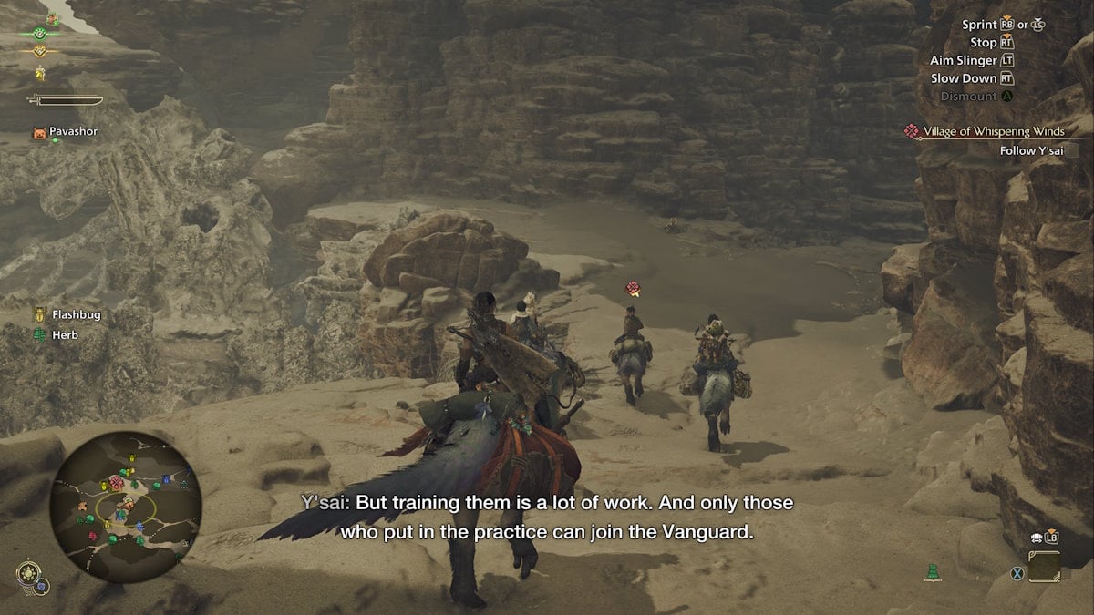 Decorar Seikret en Monster Hunter Wilds