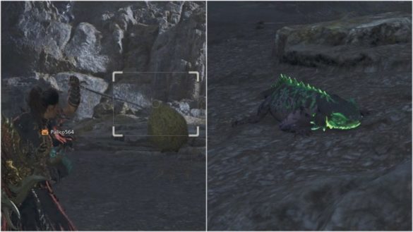 ¿Dónde encontrar al Ember Rufflizard en Monster Hunter Wilds?
