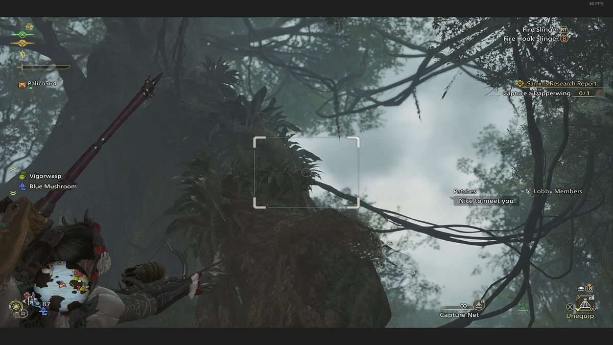 Catching Dapperwing usando la red de captura