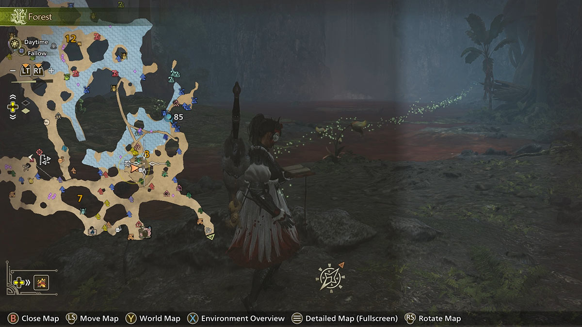 Área 8 Ubicación en bosque escarlata